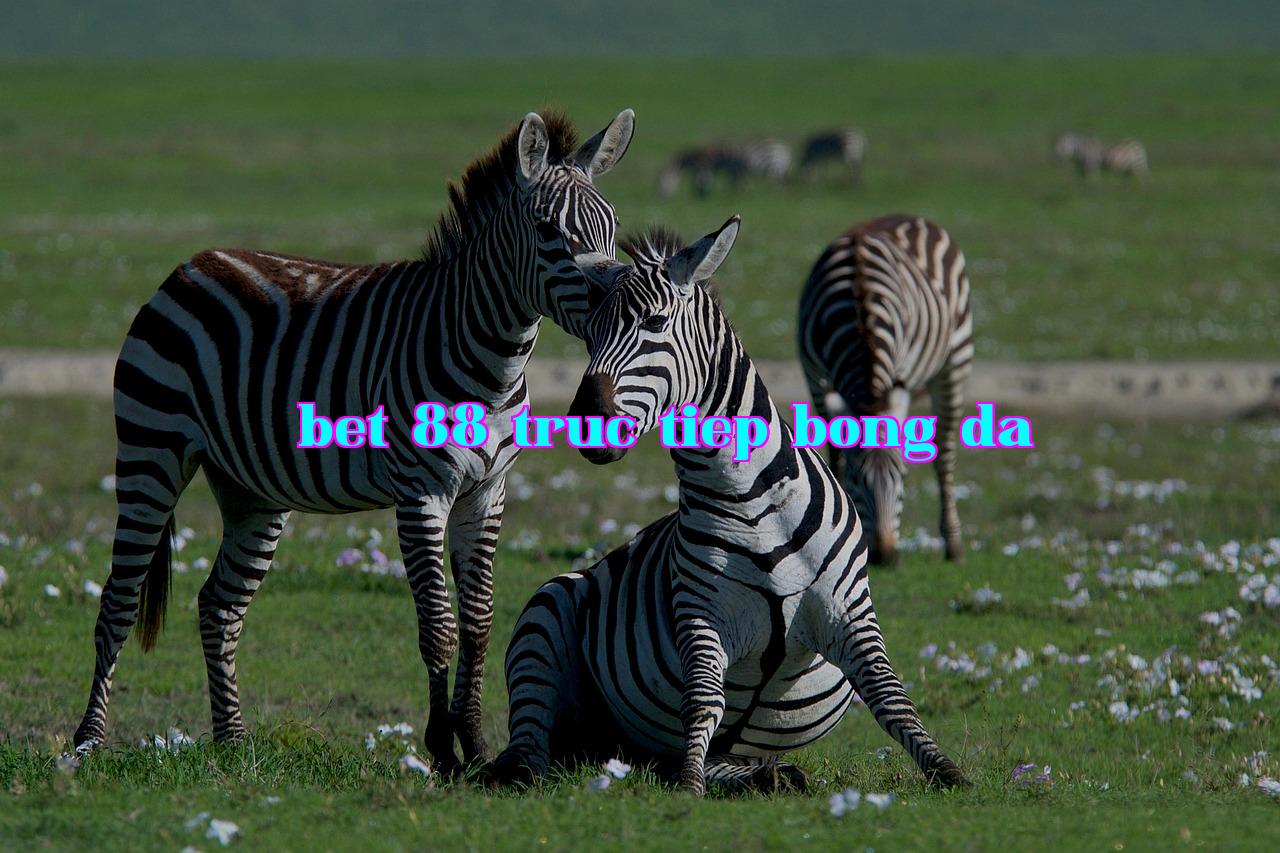 /imgposts/5svkyih8.jpg